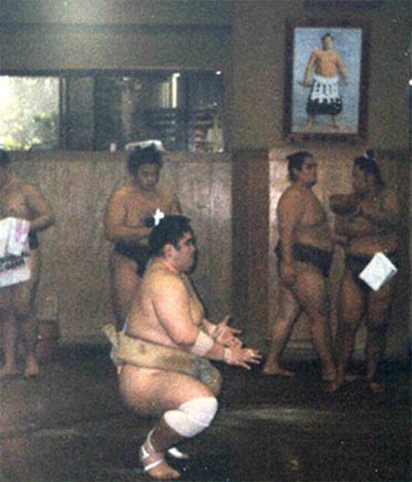 sumo Sumo beya ("stable").