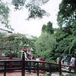 Walking along a park bridge in Japan