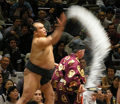 sumo salt