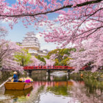 Himeji Castle in Spring