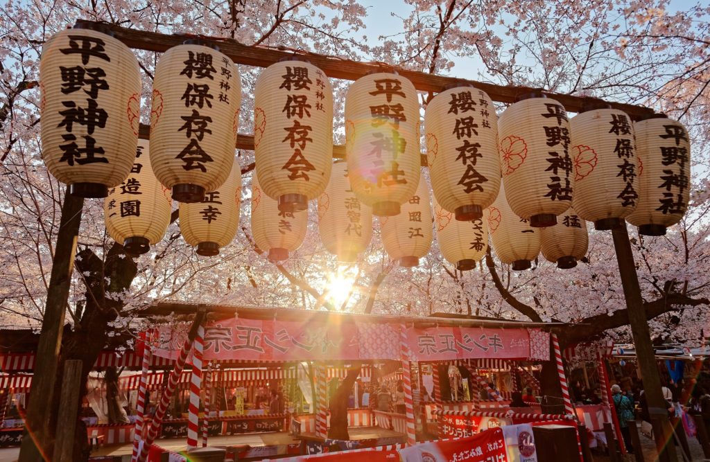 Japanese lantern decorations - Cherry Blossoms Festival