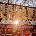 Japanese lantern decorations - Cherry Blossoms Festival