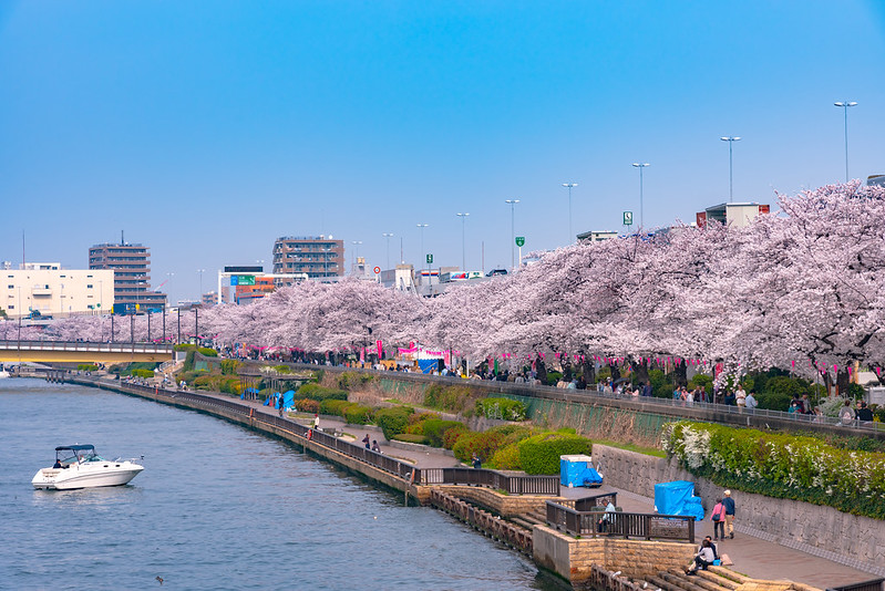 Sumida River