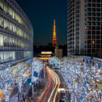 Tokyo Tower with Christmas illumination at Roppongi