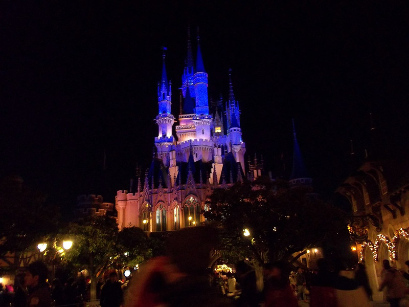 Light Shows by Jessica Dales