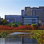 View of buildings from Ueno Park during autumn