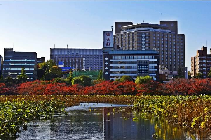View of buildings from Ueno Park during autumn