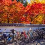 Bicycle parking in Kyoto