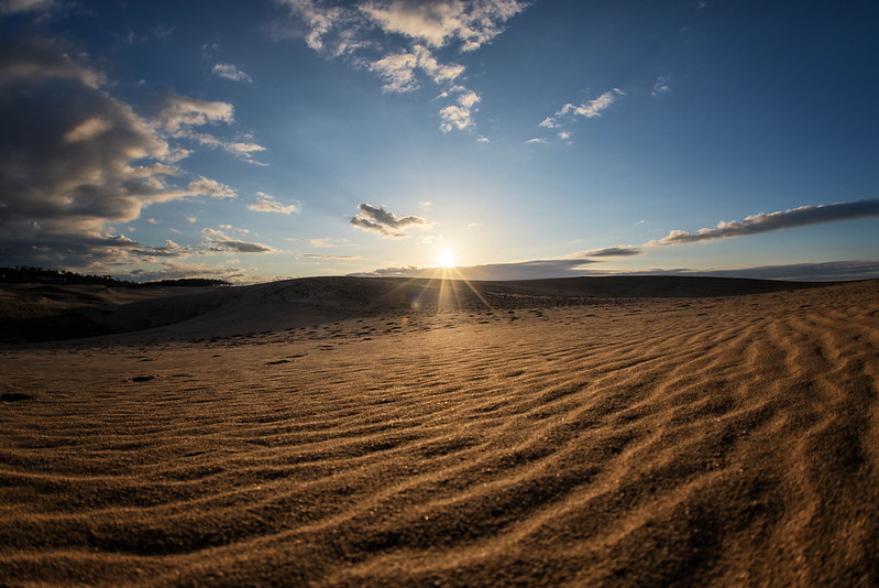 Sand ripples - Tottori sand dunes