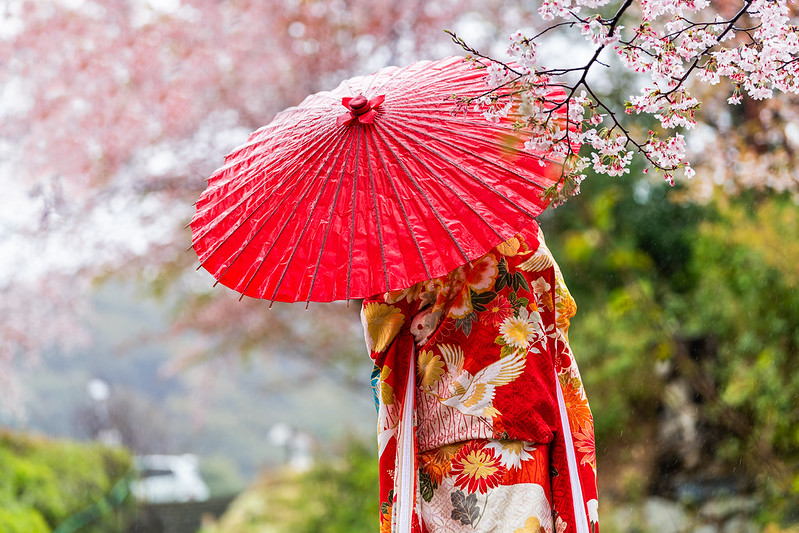 Woman in kimono and red wagasa