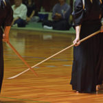 kobudo martial arts