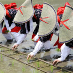 Otaue Rice Planting Festival