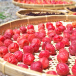 Umeboshi