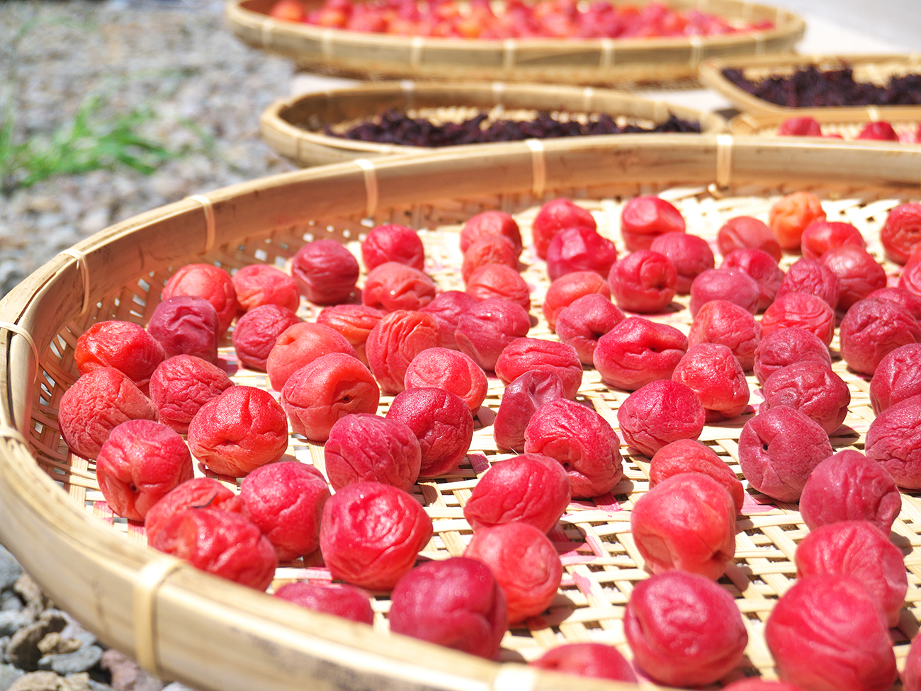 Japanese Cold and Cough Home Remedies KCP International