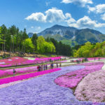 Hitsujiyama Park