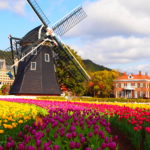 Huis Ten Bosch