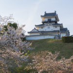 Kakegawa Castle