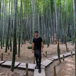 KCP students visit Hōkoku-ji's bamboo grove.