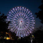 Diamond and Flowers Ferris Wheel
