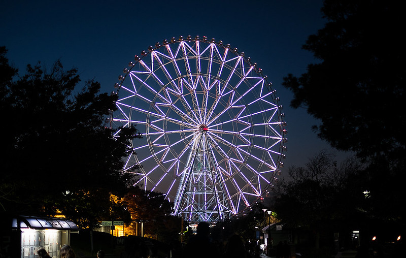 Diamond and Flowers Ferris Wheel