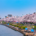 Sumida River