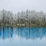 Winter in Hokkaido