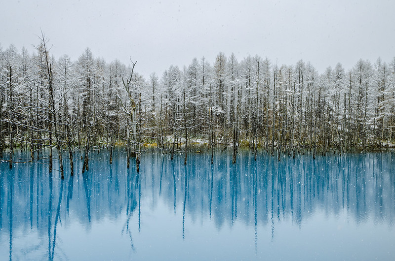 Winter in Hokkaido