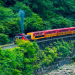 Sightseeing train
