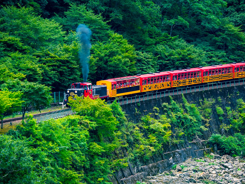 Sightseeing train