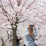 Taking picture with smartphone