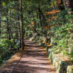 Mount Takao hiking trail