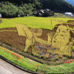 Rice paddy art