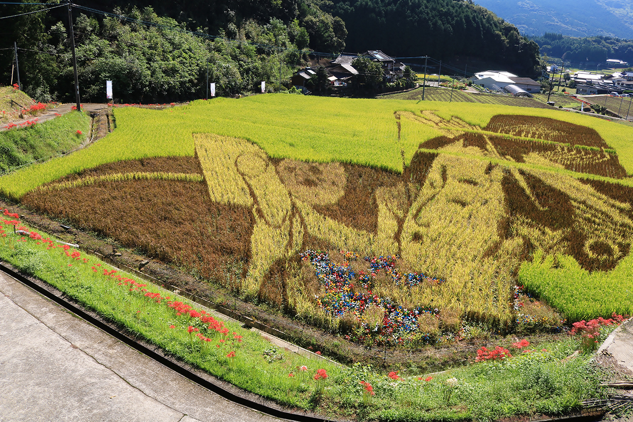 Incredible Rice Paddy Art KCP International Japanese Language School