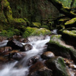 Shiratani Unsuikyo Ravine stream