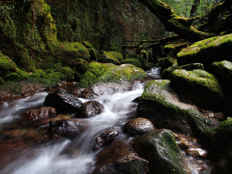 Shiratani Unsuikyo Ravine stream