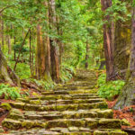 Kumano Kodo