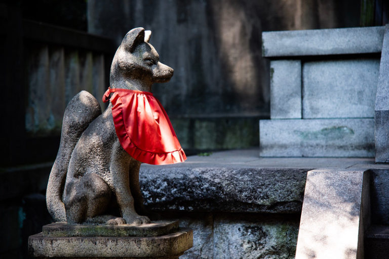 Japanese Superstition and Pets in Japan | KCP International