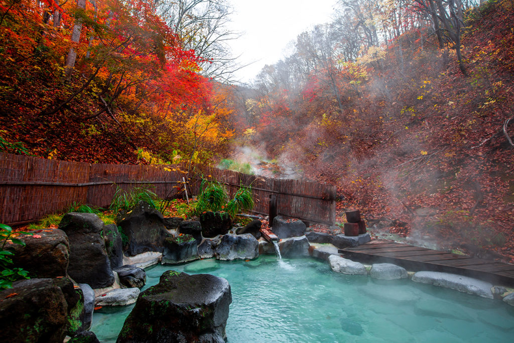 Japanese Hot Springs