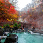 Japanese Hot Springs