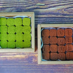 Nama chocolates
