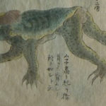 Kappa drawing
