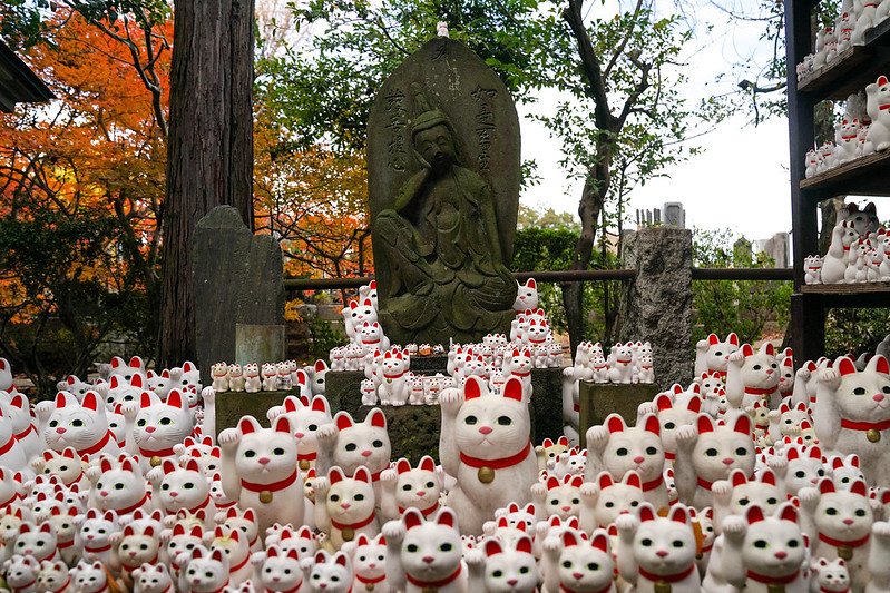 Maneki-neko lucky cats in Gotokuji Temple, Tokyo
