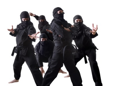 Ninjas on the Ninja Diet