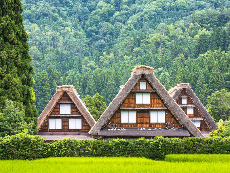 Gassho-zukuri homes