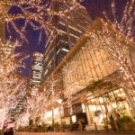 Marunouchi Naka-dori