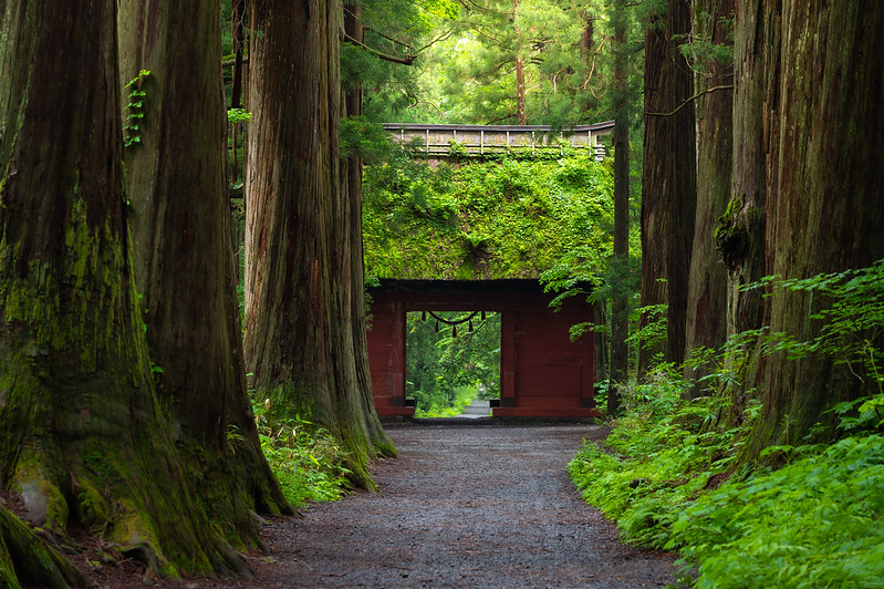 Togakushi Shrine