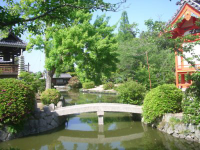 Japanese garden.