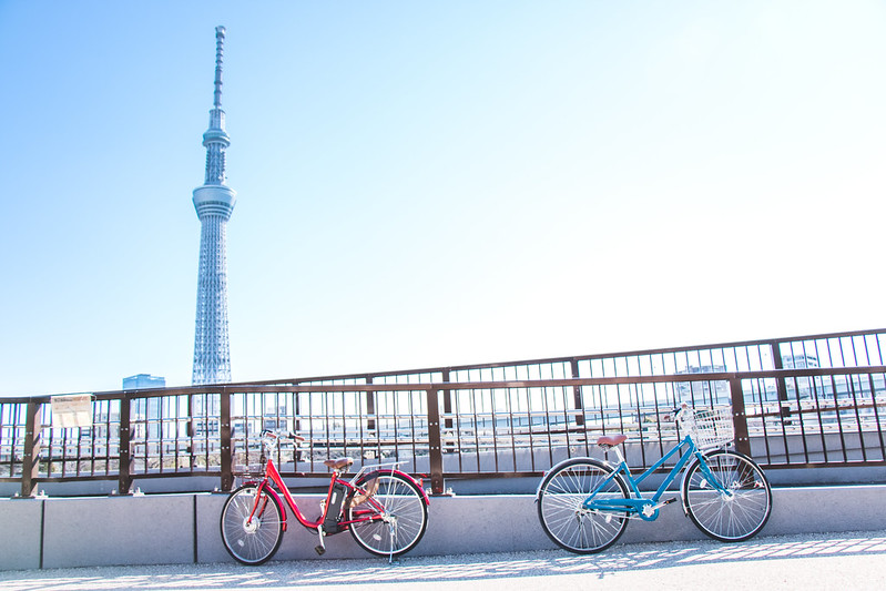Bicycles along Sumida River