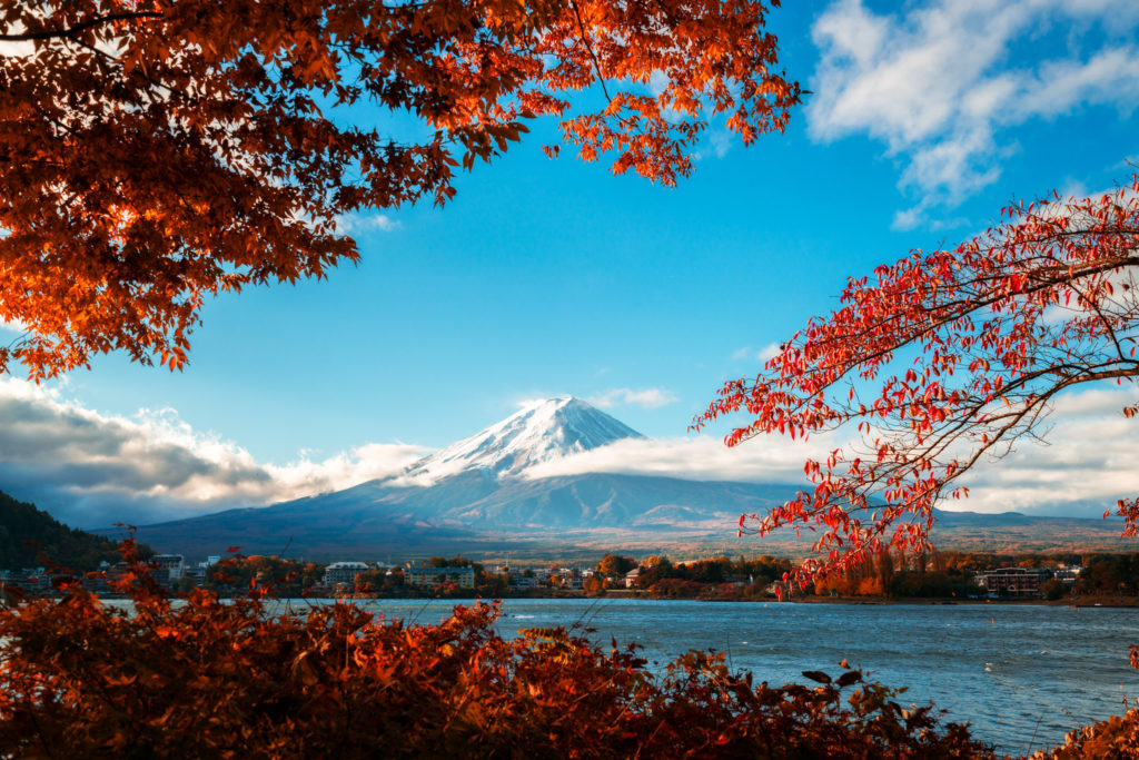 Autumn in Mount Fuji