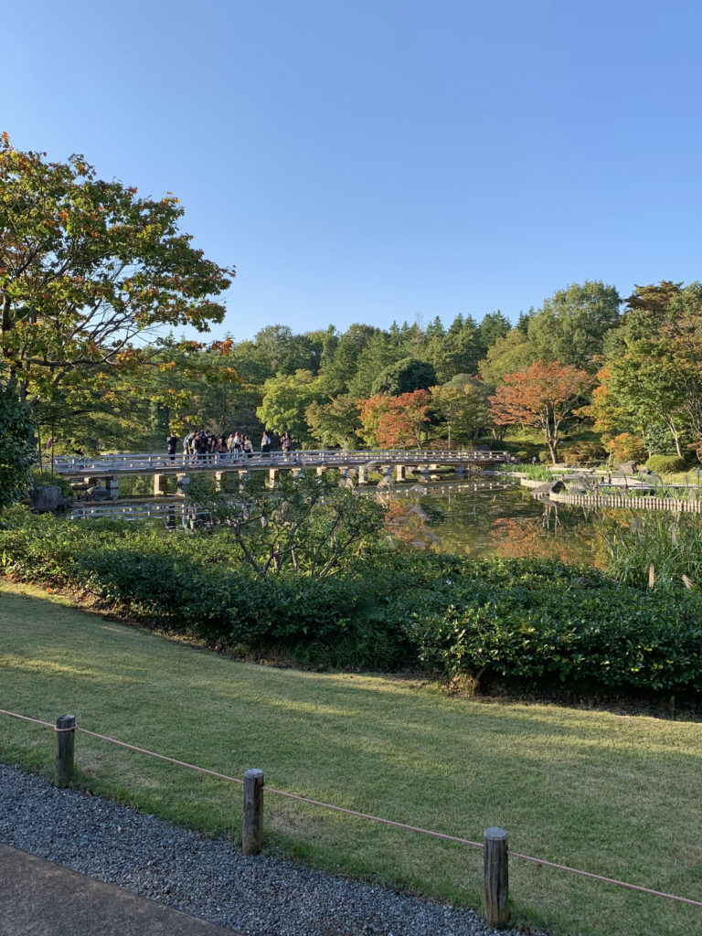 Showa Park's beauty.